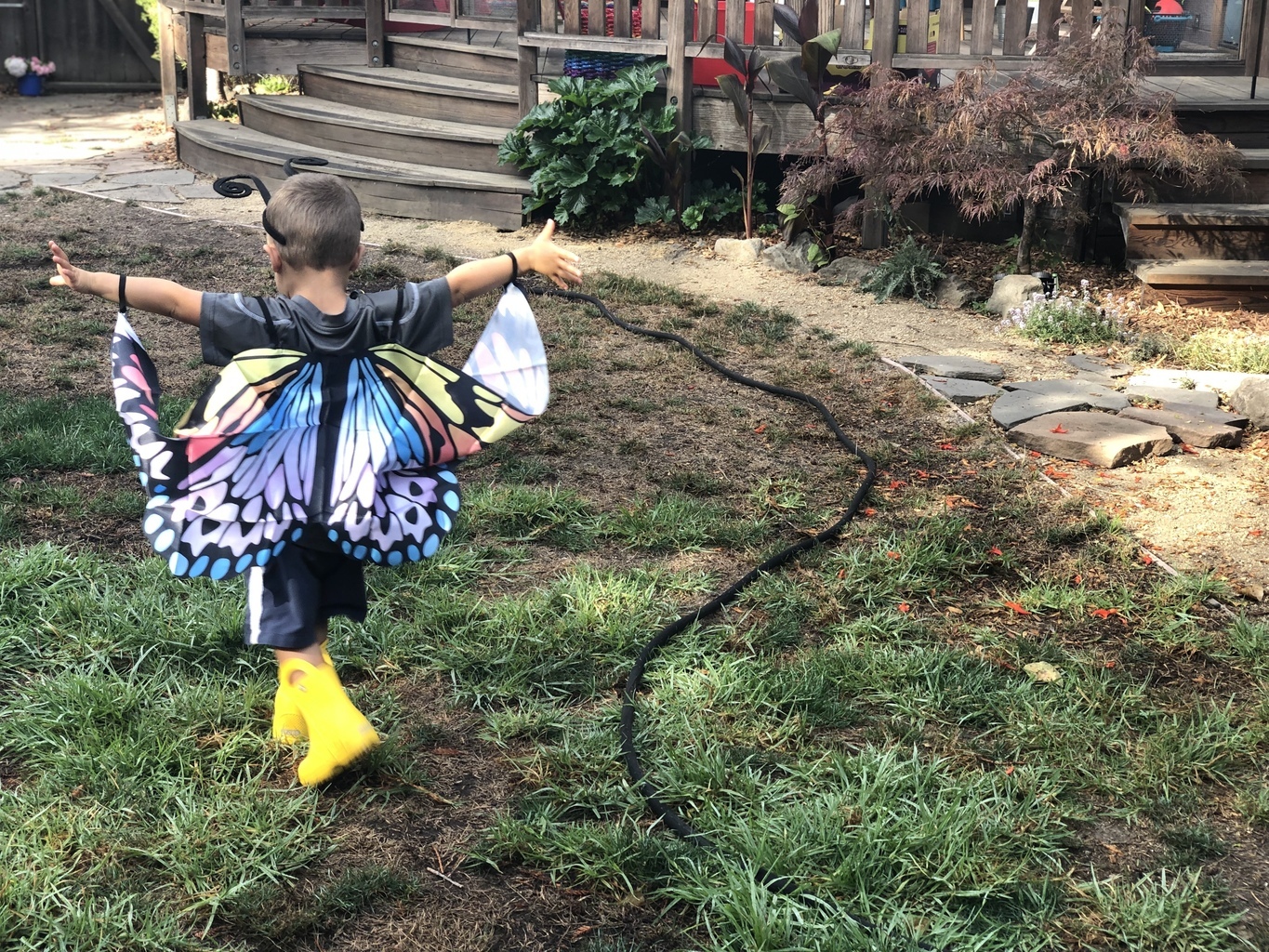 Petites Merveilles's Photo