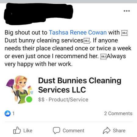 Dust Bunnies Cleaning Services LLC's Photo