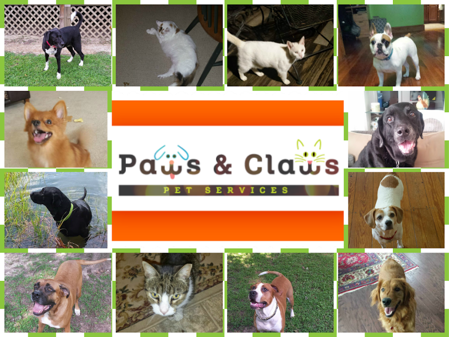 Paws & Claws's Photo