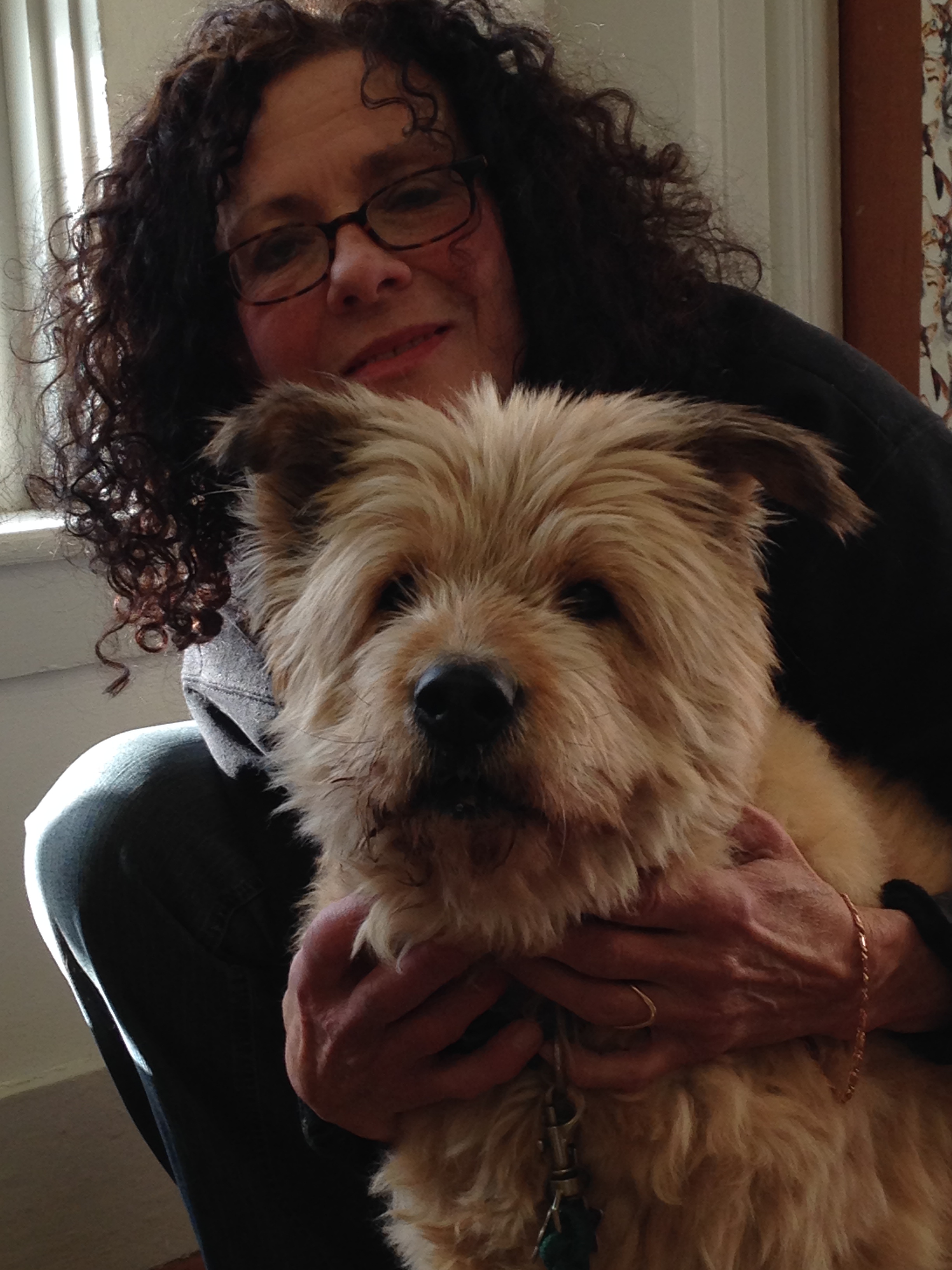 Pet Heaven On The Hill's Photo