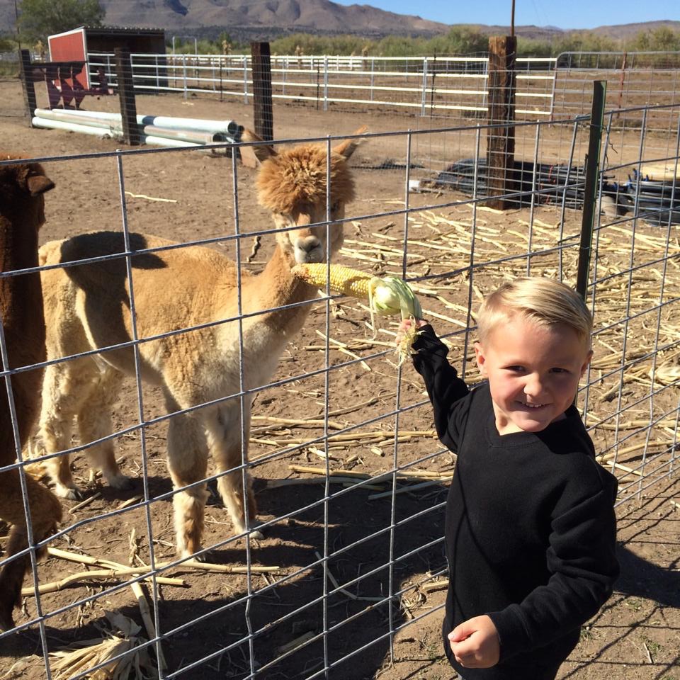 Amy's Love Bugs Childcare's Photo