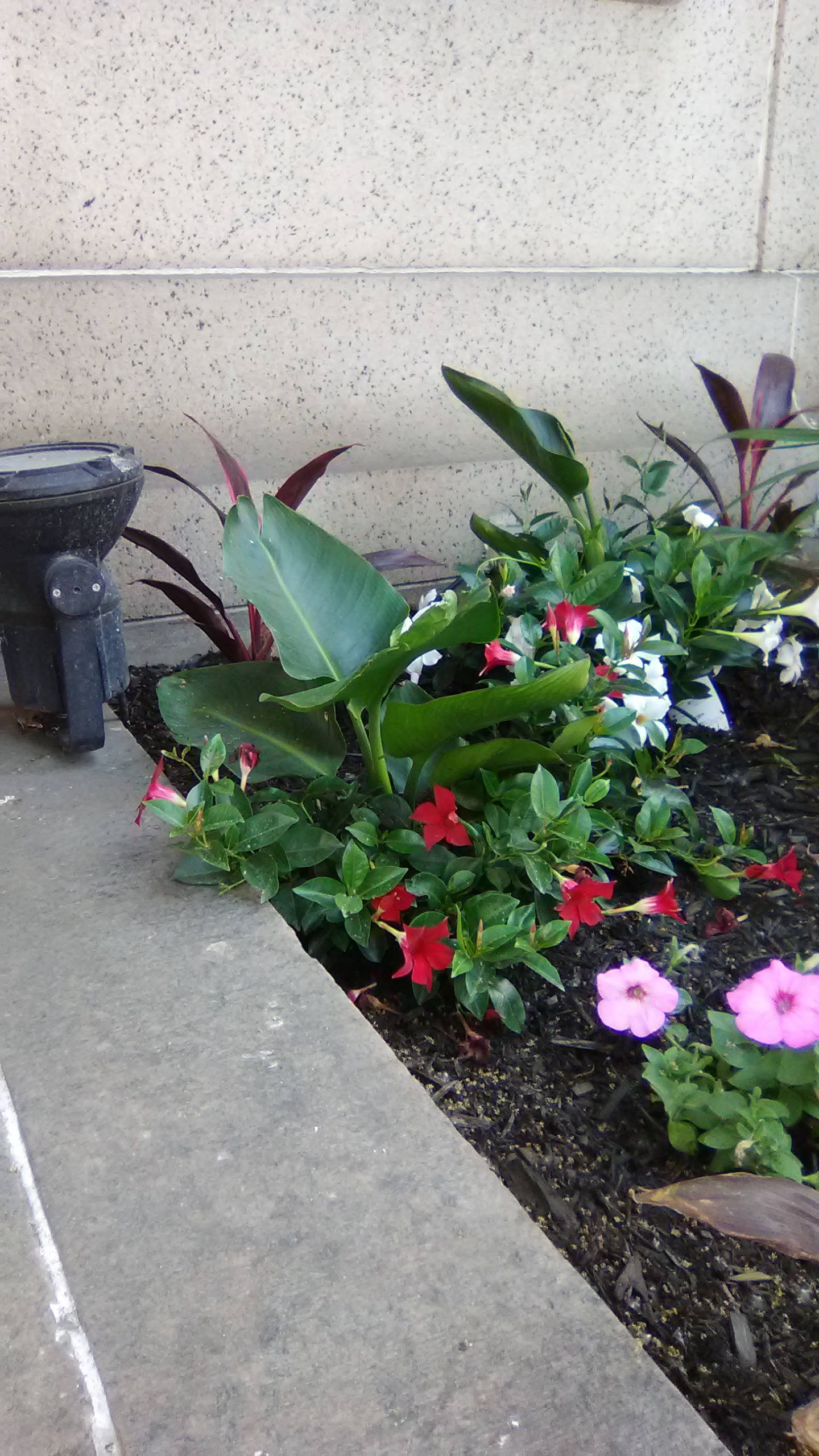 Cleaning Greener Cleaners's Photo