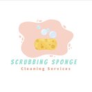 Scrubbing Sponge