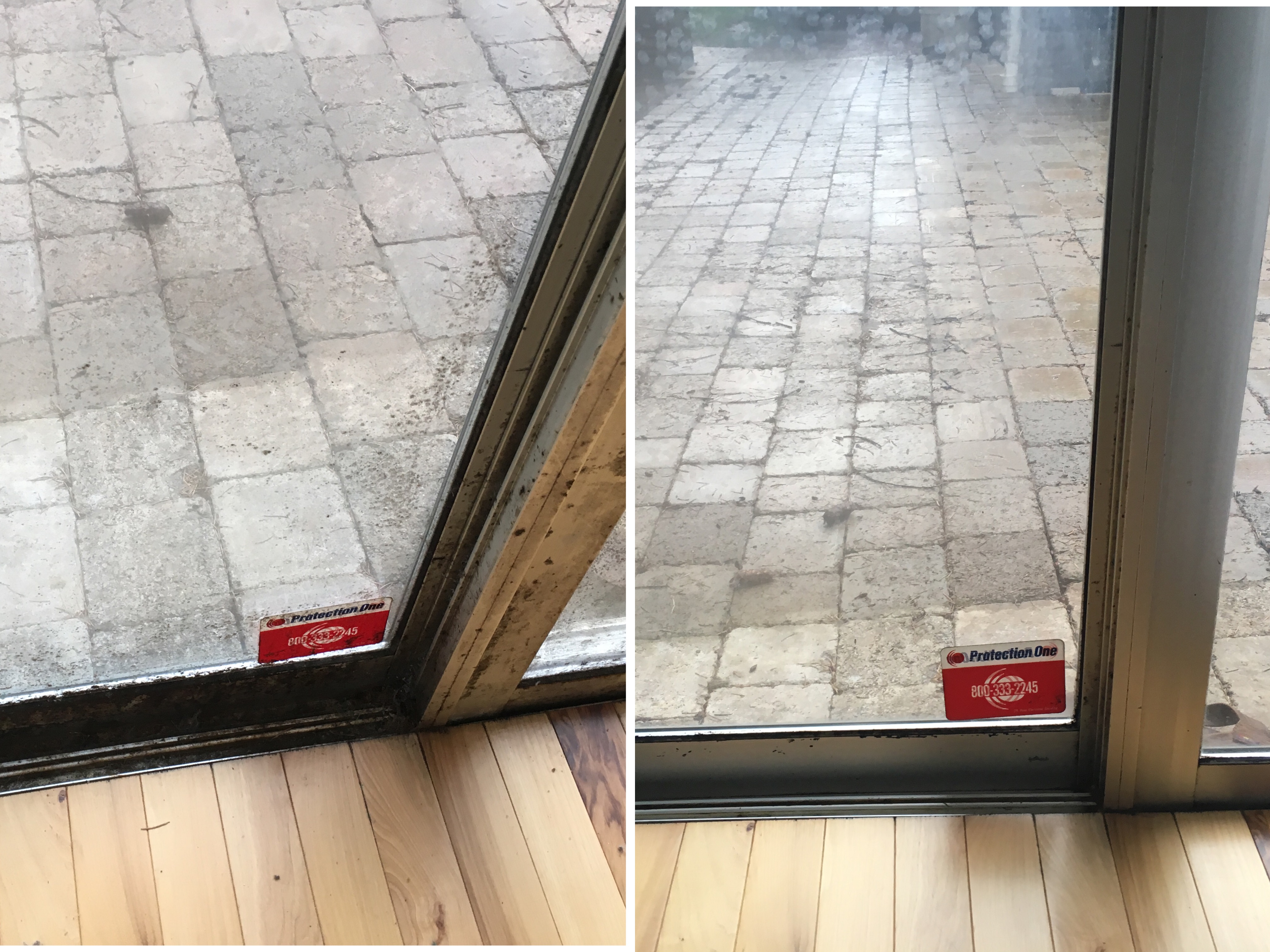 Soleil Clean's Photo