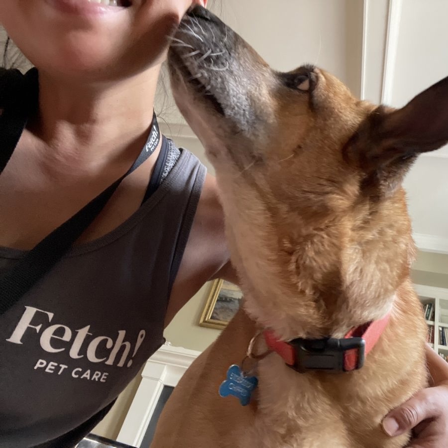 Fetch! Pet Care of Charlottesville's Photo