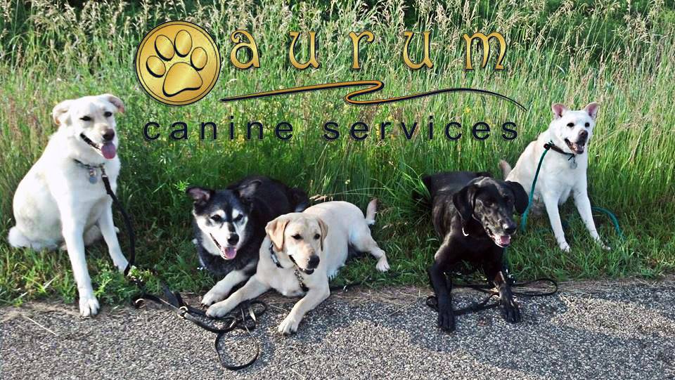 Aurum Canine Services's Photo