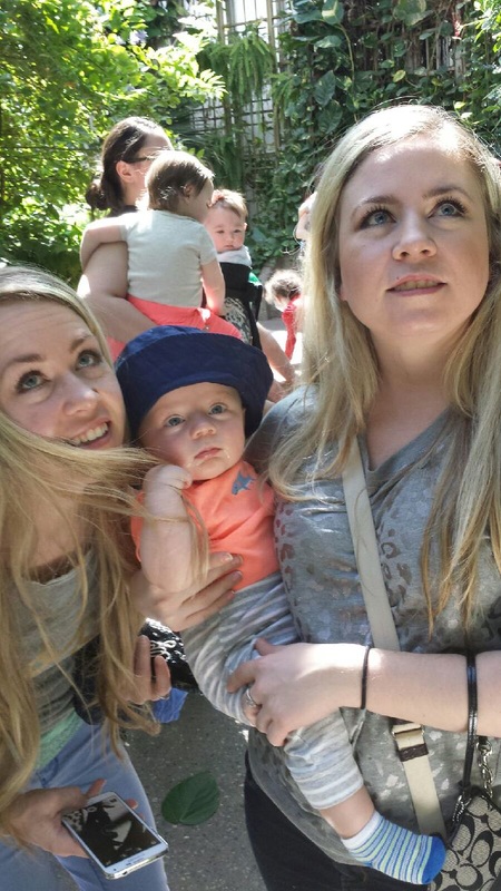 Wee Learners Daycare And Learning Center's Photo