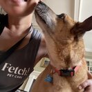 Fetch! Pet Care of Charlottesville