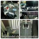 Pro-Model Cleaning Services