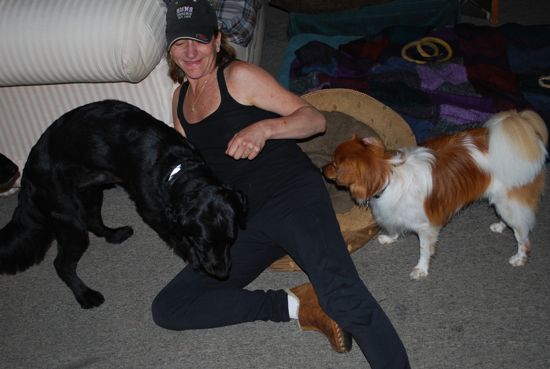 Keeway's Comfy Kennel Logo