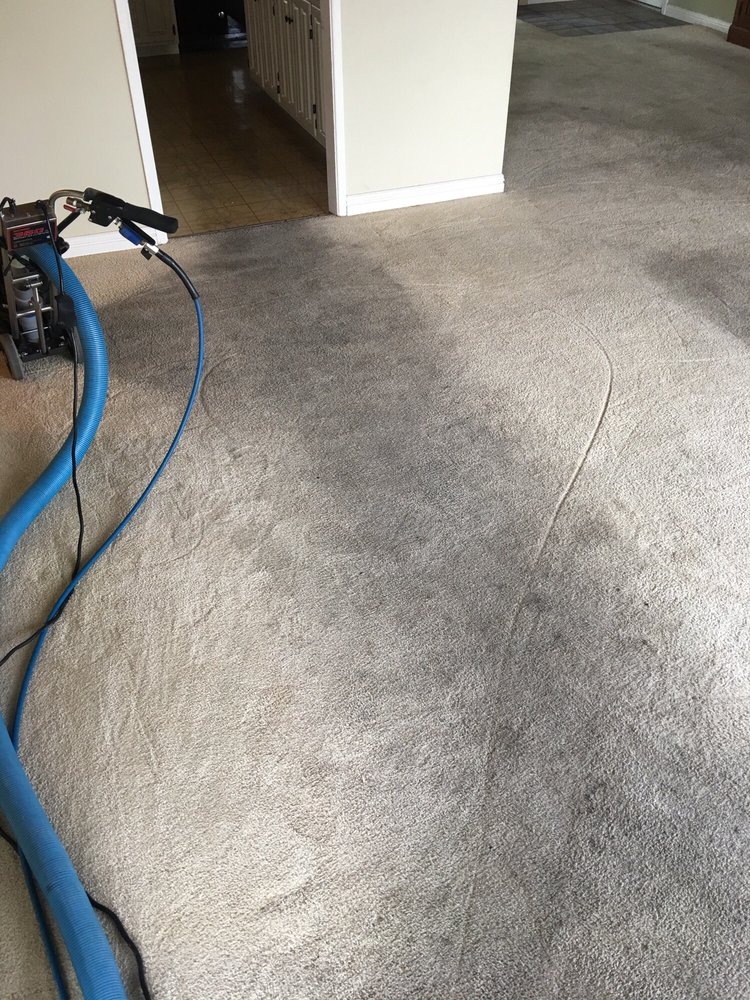 TNT Carpet Care's Photo
