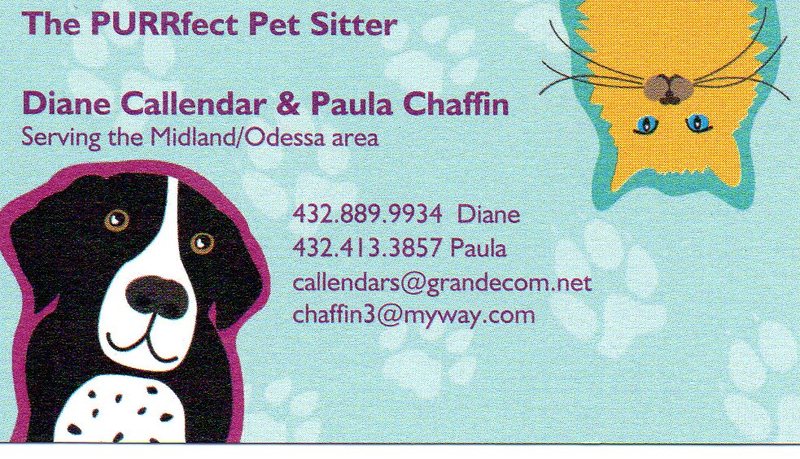 The PURRfect PetSitter's Photo