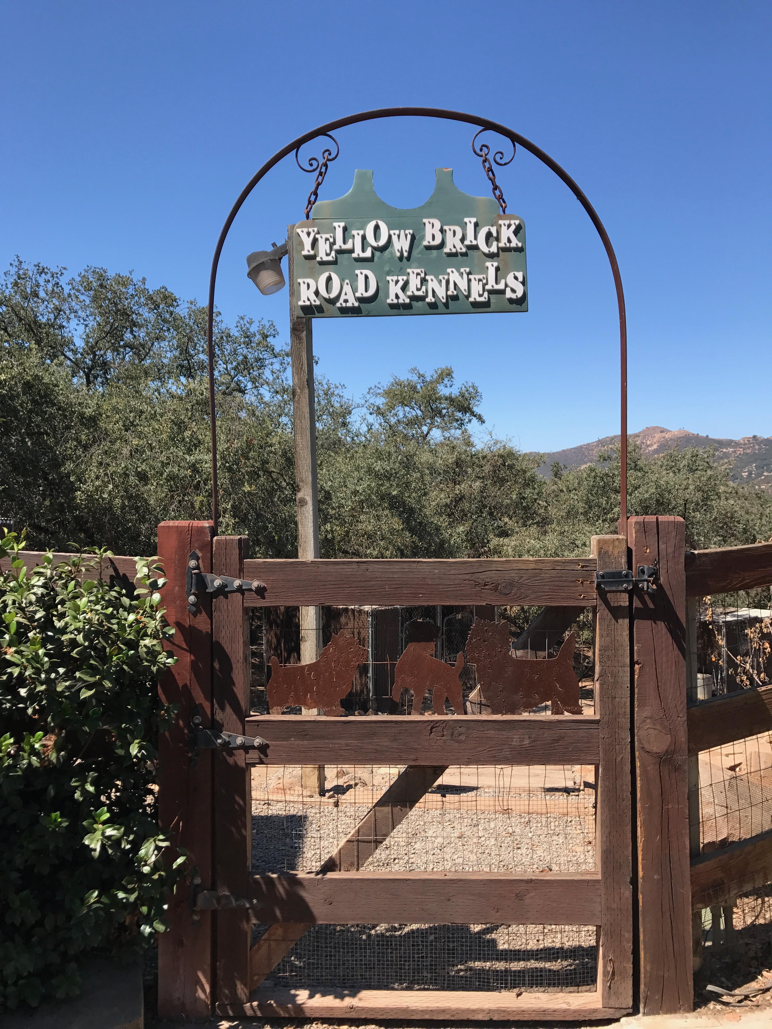 Yellow Brick Roads Kennels's Photo