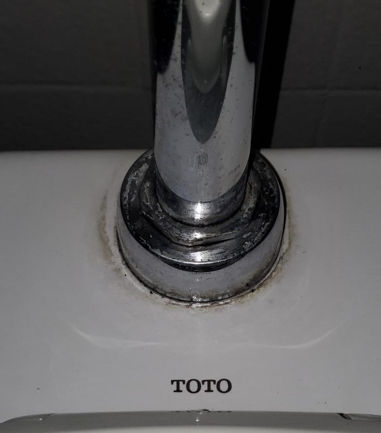 The Cleaning Gal's Photo