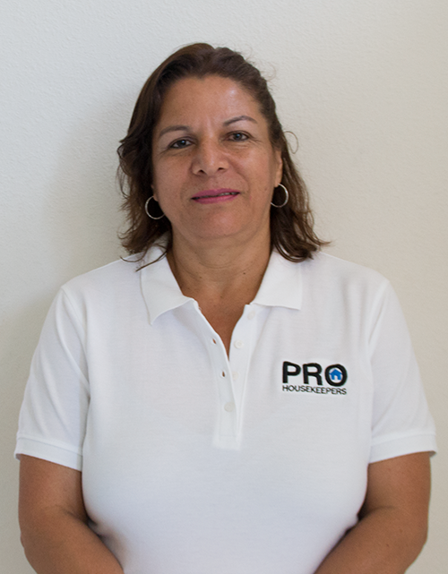 PRO Housekeepers's Photo