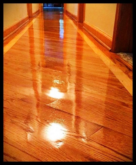 Green Clean Service Team's Photo