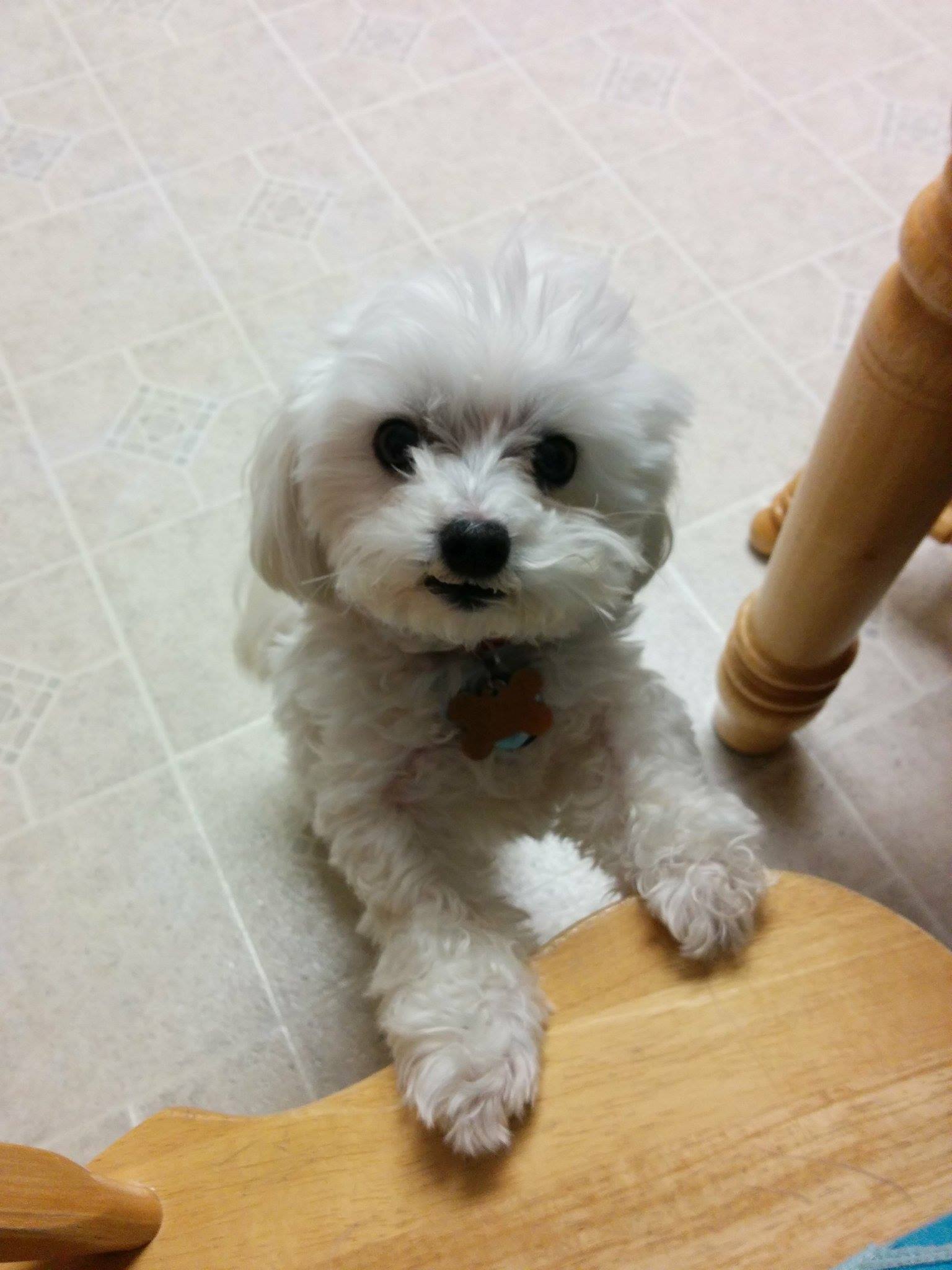 Just Fur The Weekend's Photo