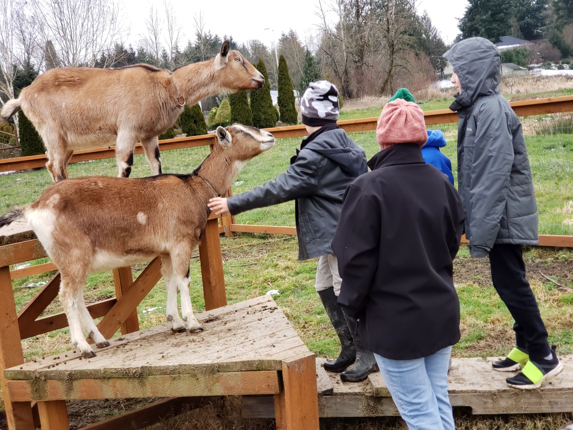 Artistic Adventures's Photo