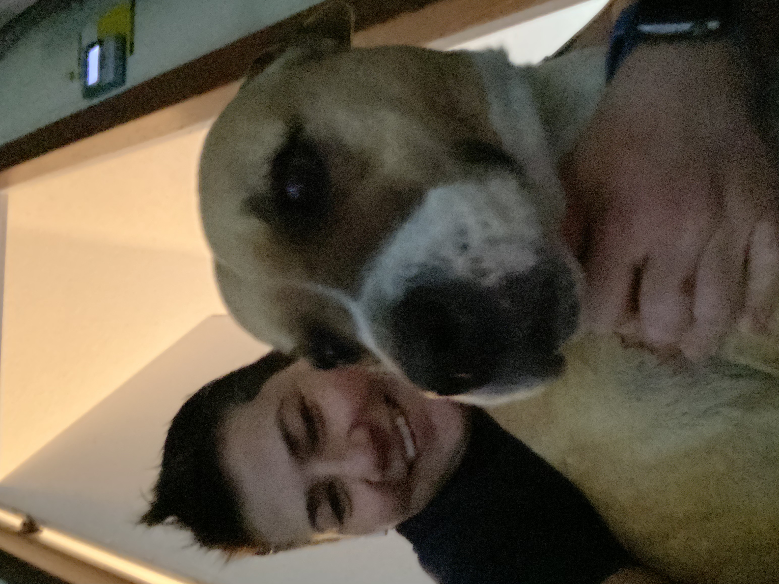 Sits & Walks, LLC's Photo