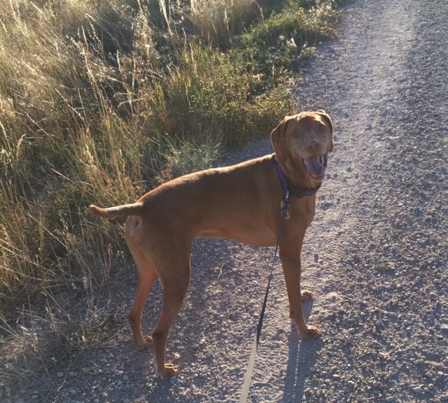 Ready, Set, Stay's Photo