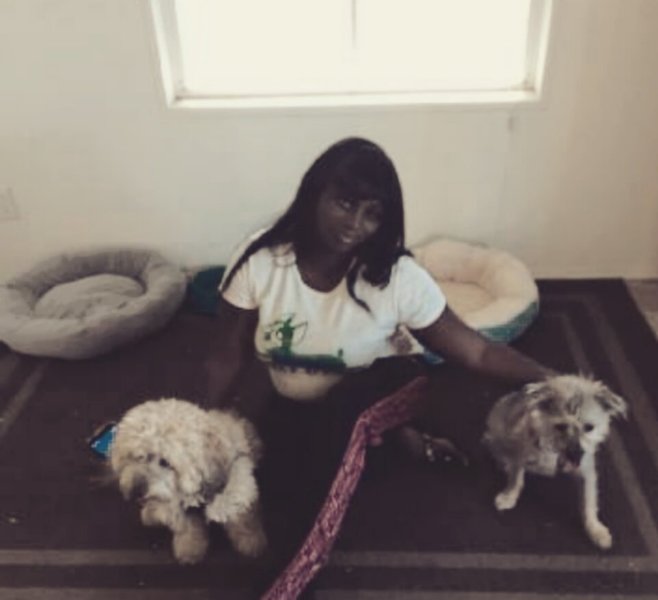 My World Of Dogs Logo