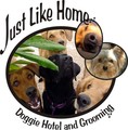 Just Like Home Doggie Hotel and Grooming