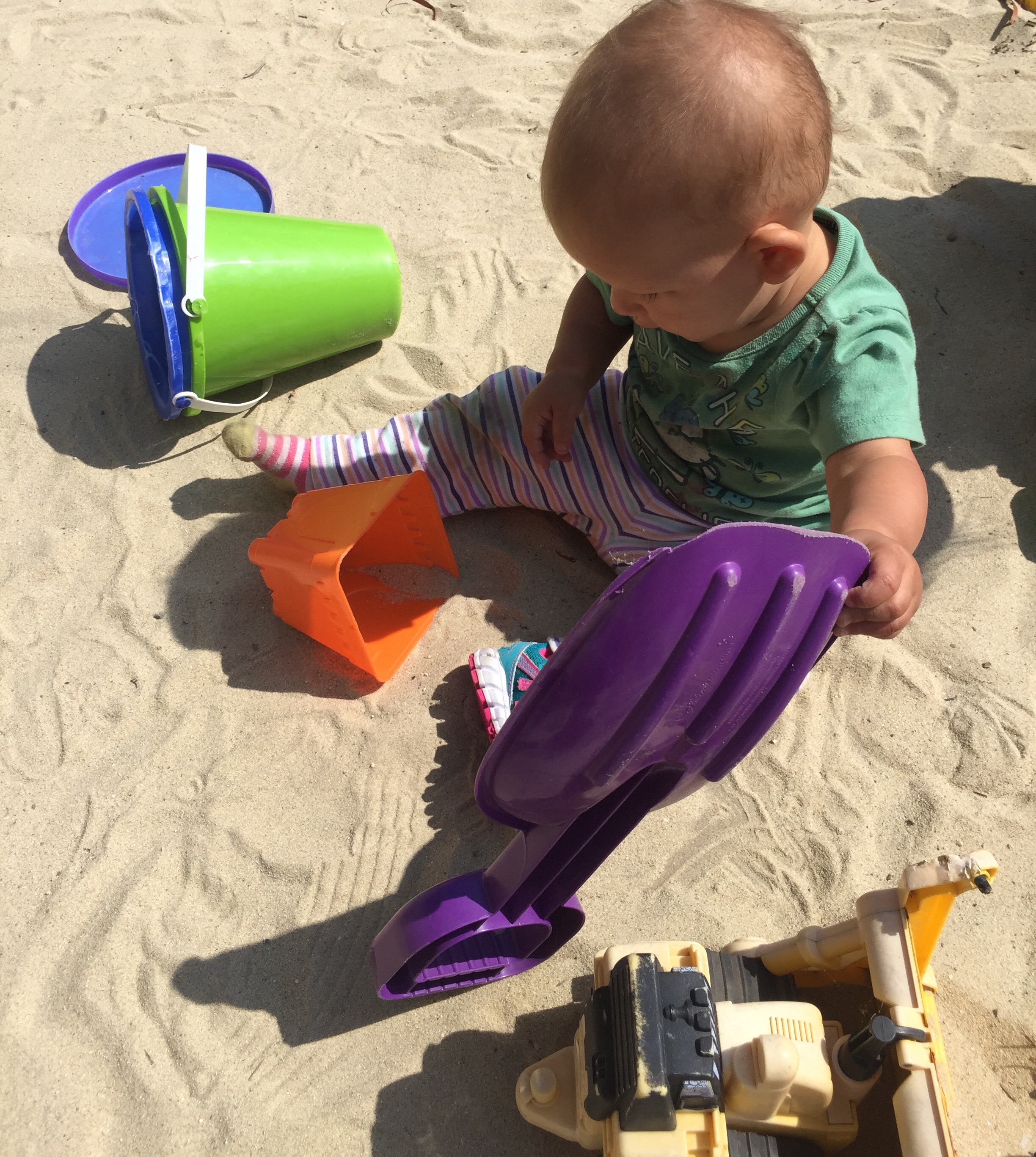 First Friends By The Sea's Photo