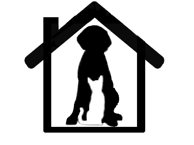 Black Dog Pet Sitting and Home Services's Photo