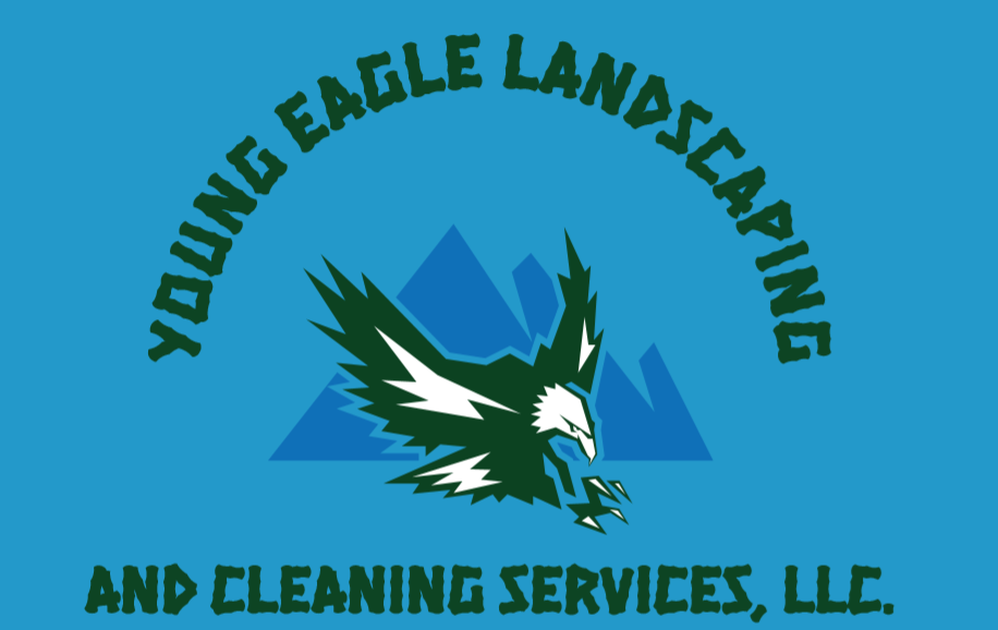 Young Eagle Landscaping & Cleaning Services's Photo