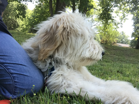 Patton Paws's Photo