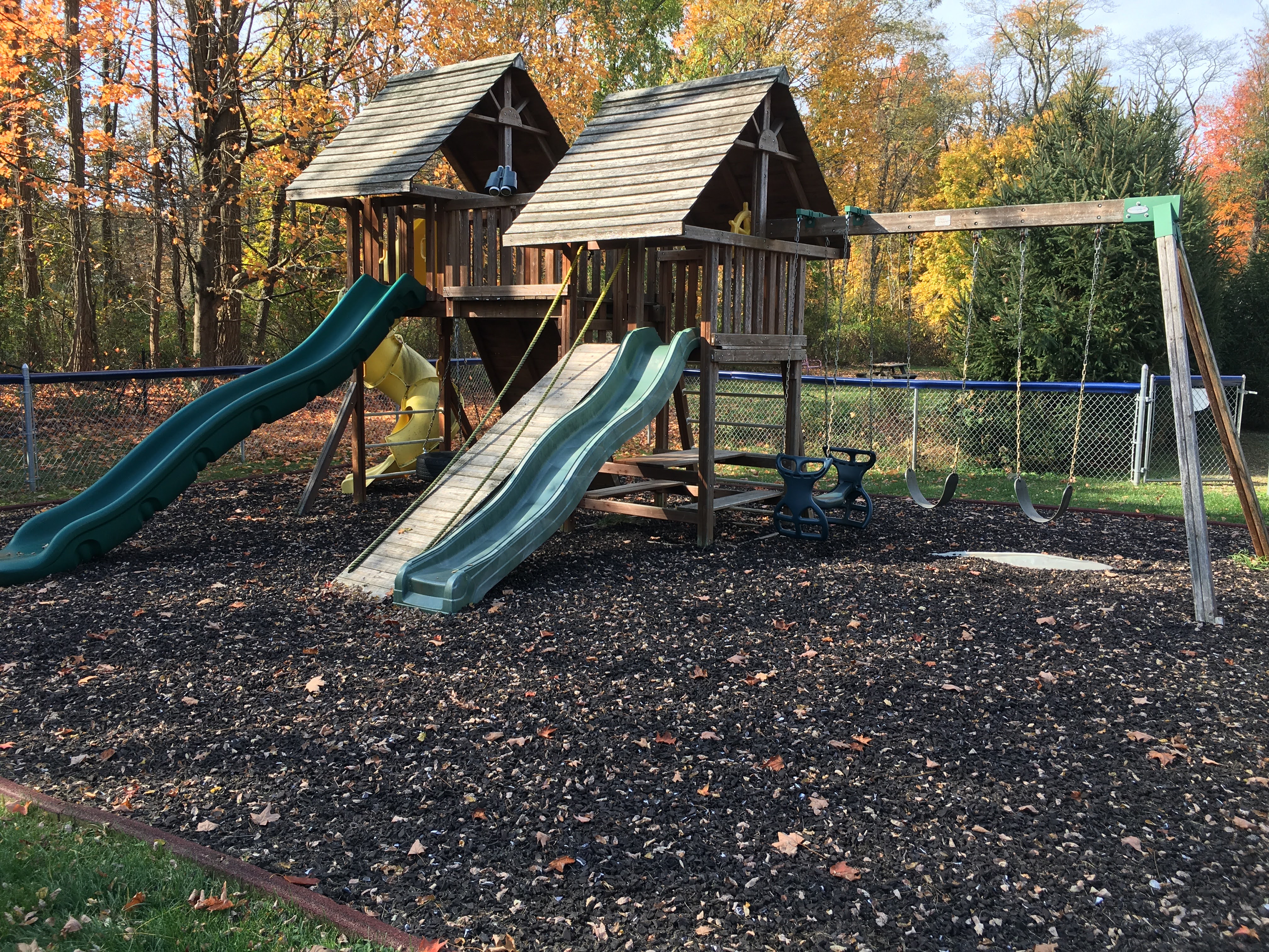 Taconic Child's Photo
