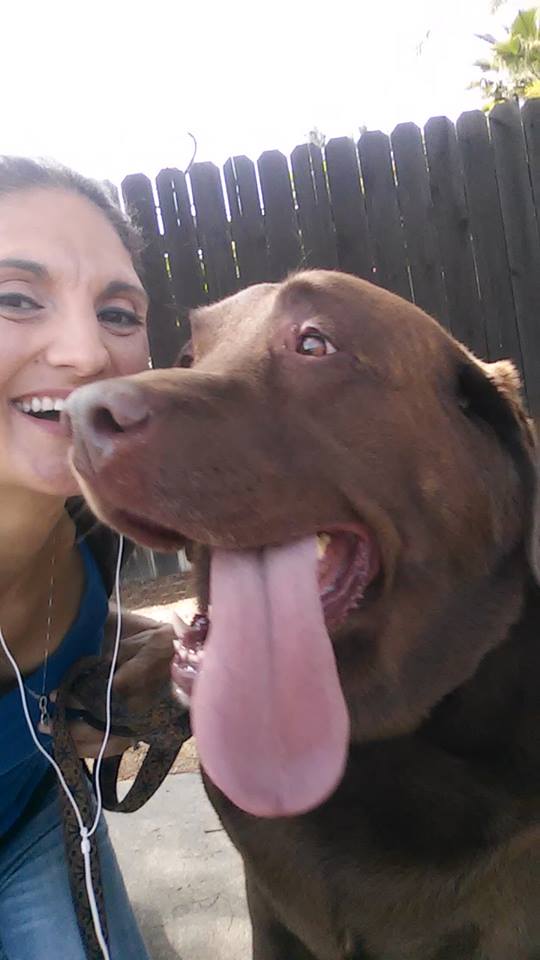 Gotta Love 'Em! Professional Pet Care's Photo