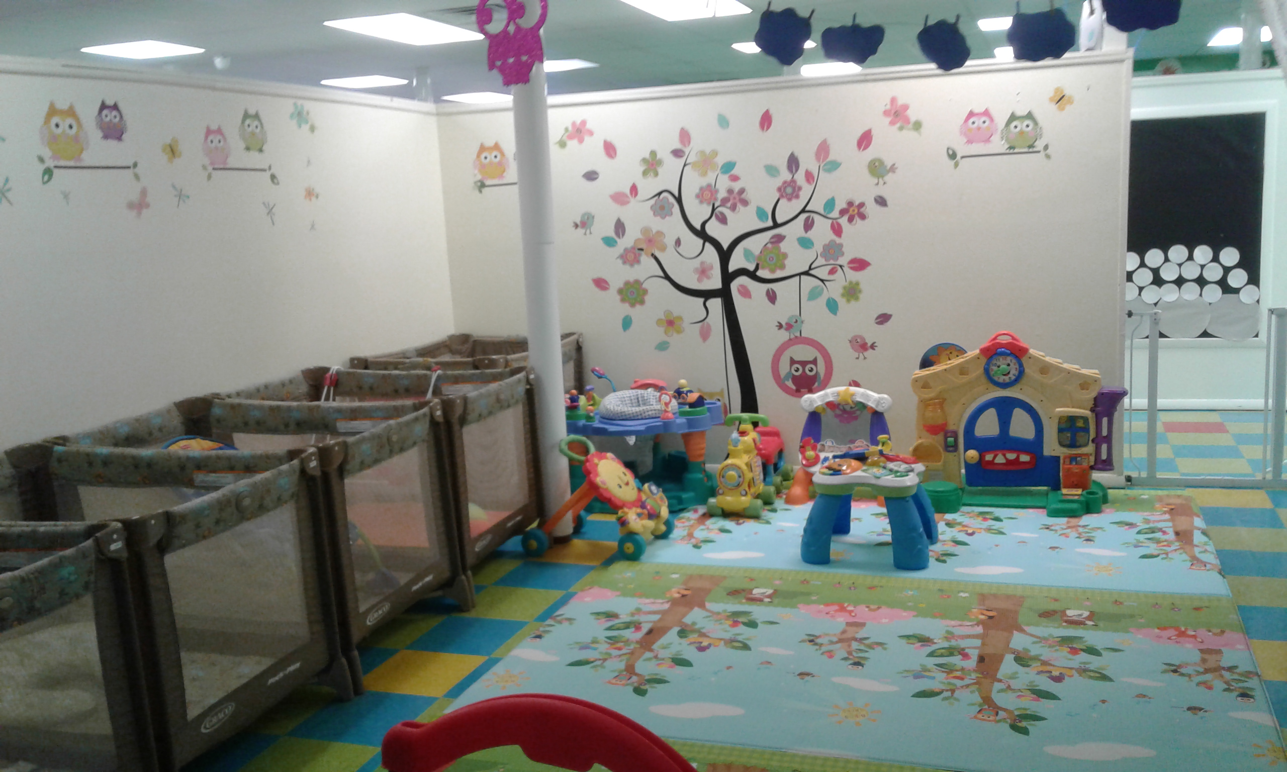 All Star Kids Academy's Photo