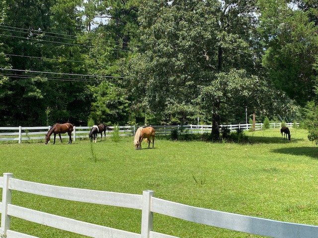 Aero Farm Camp's Photo