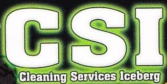 CSI: Cleaning Services Iceberg's Photo