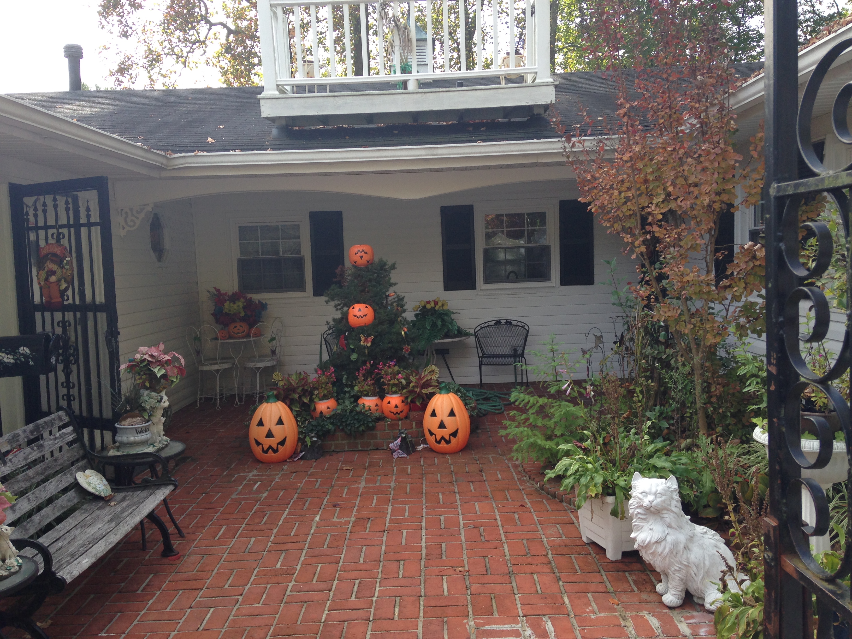 Photo gallery image - 2