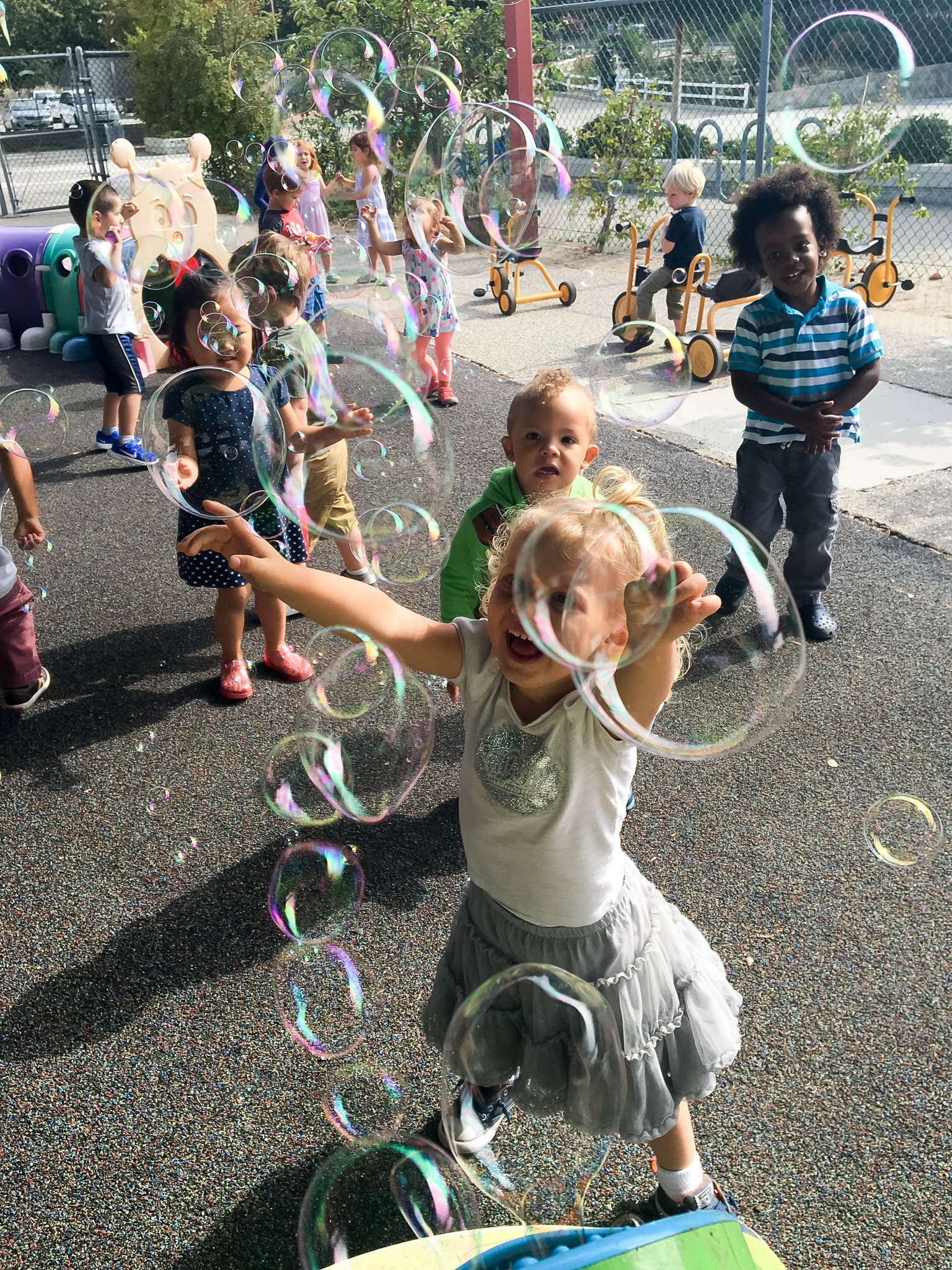 Delphi Academy Preschool's Photo