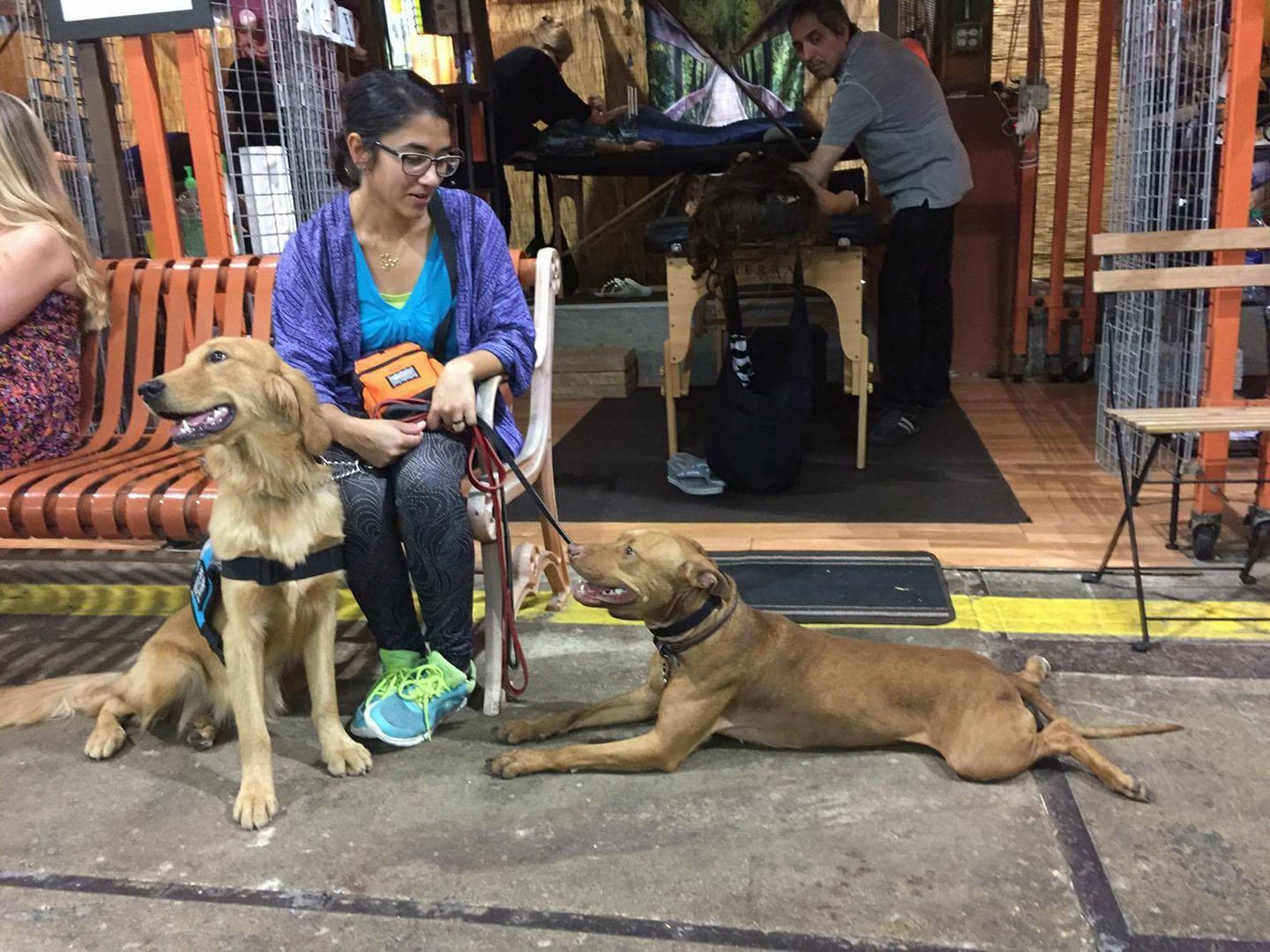 AniNanny Petcare's Photo