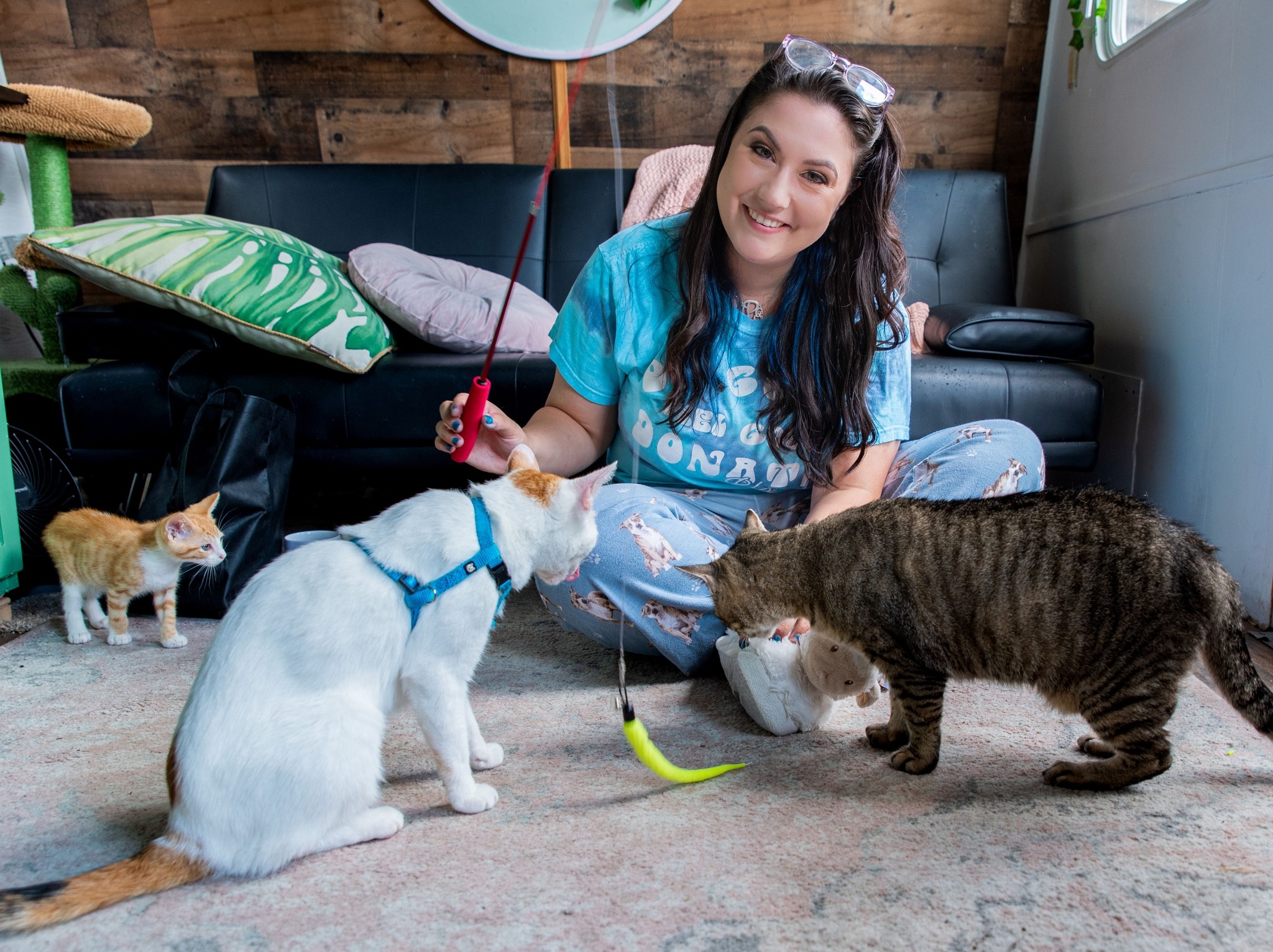 Professional Pets Florida's Photo