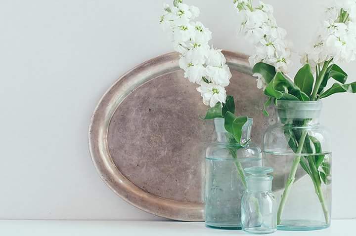 Neat Nest Volusia's Photo