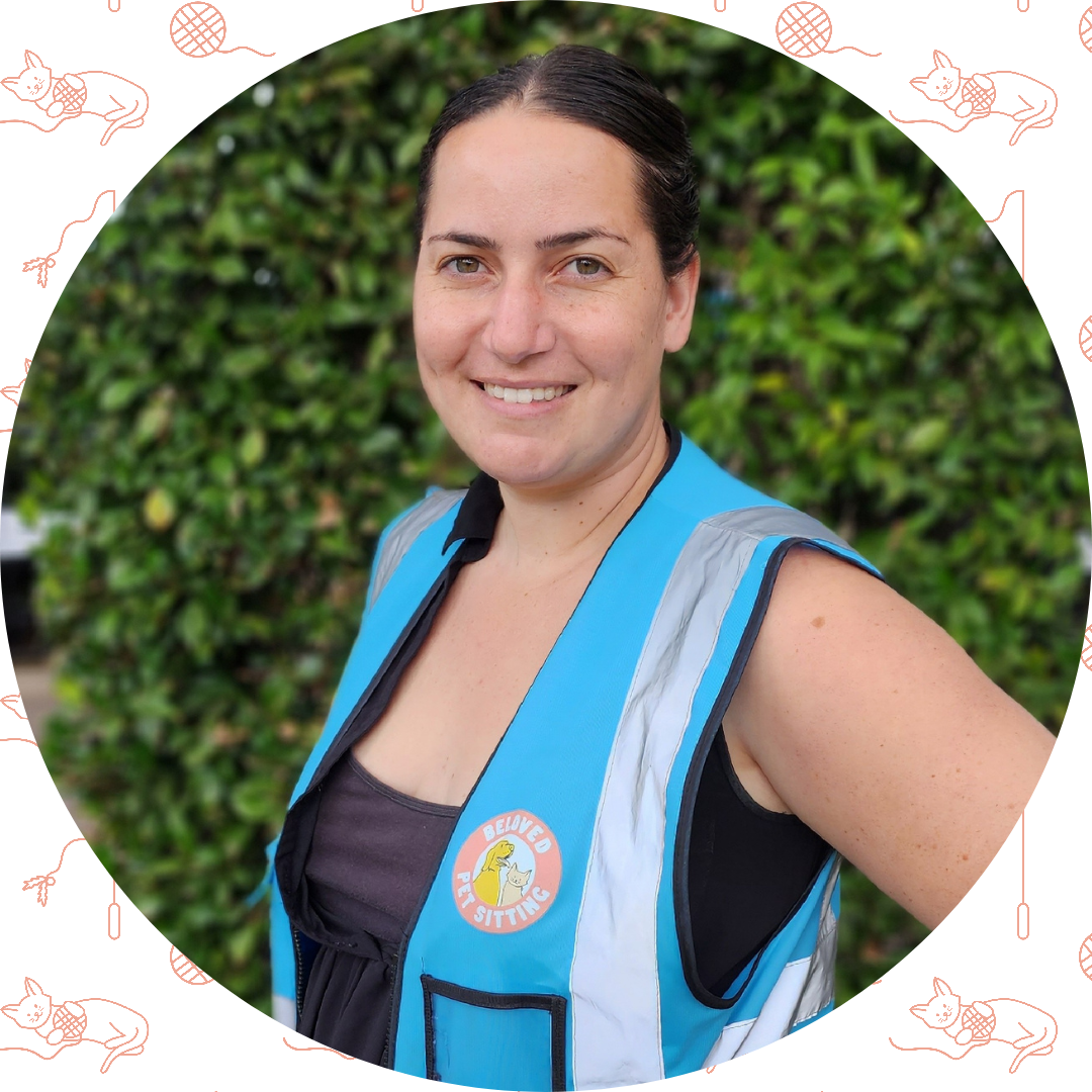 BeLoved Pet Sitting's Photo