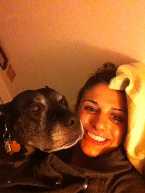 All-Bright Dogs's Photo