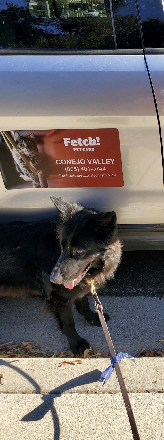 Fetch Pet Care Conejo Valley's Photo