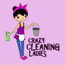 Crazy Cleaning Ladies
