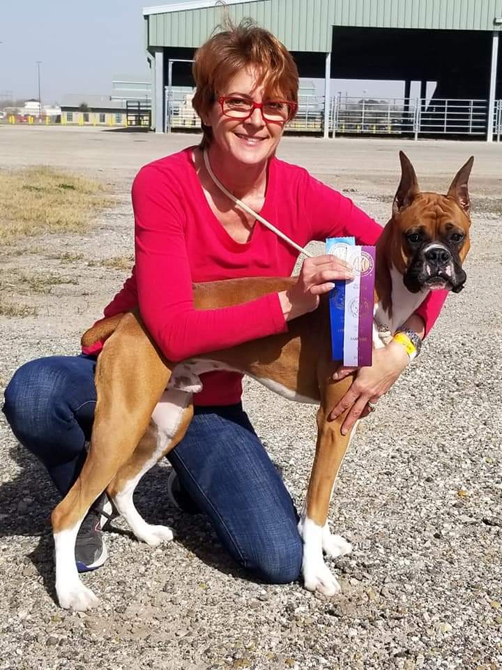 Freedom Pet Sitting Services, L.L.C.'s Photo