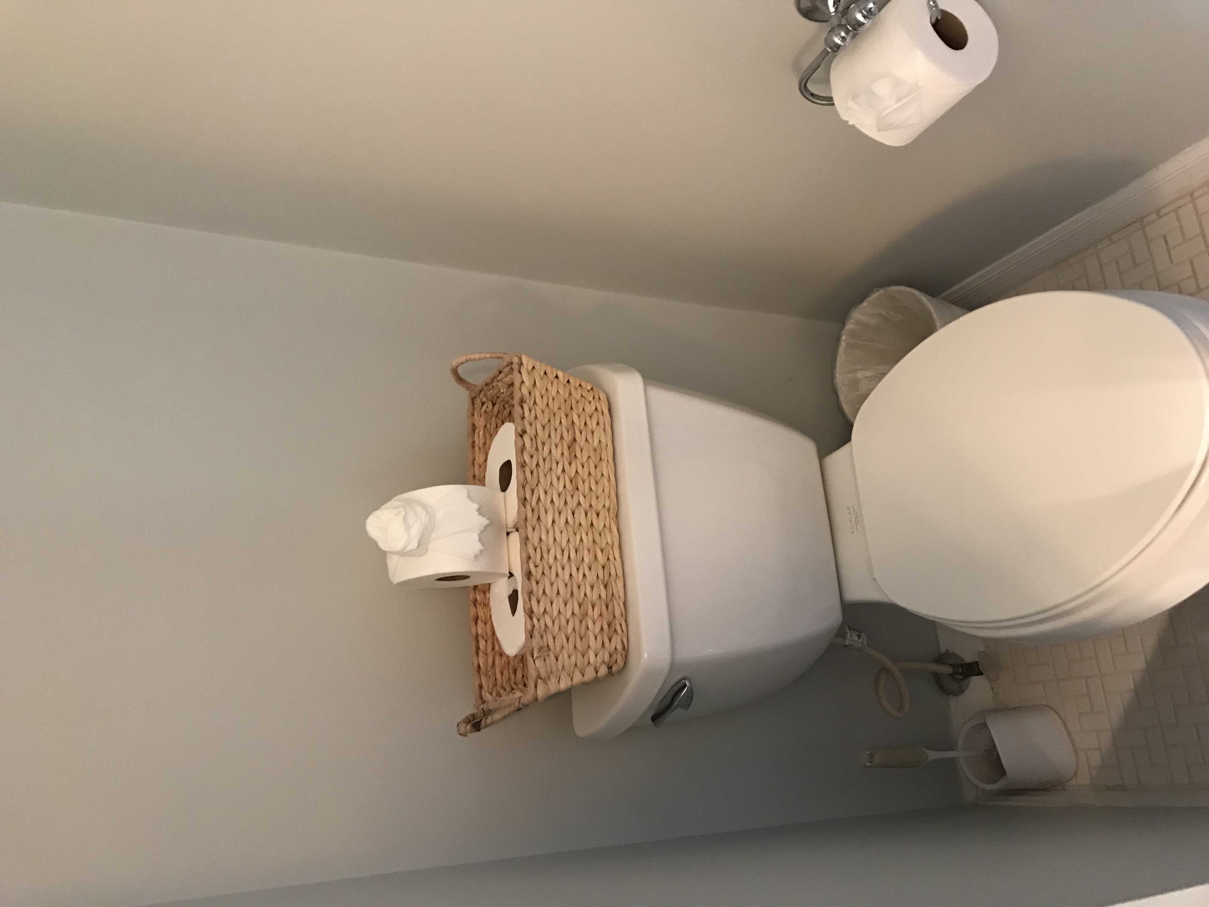 Cleaning Day Professional's Photo