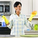 MJ Florida Best Cleaning Services LLC