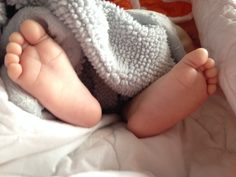 Little Wrays Of Sunshine's Photo
