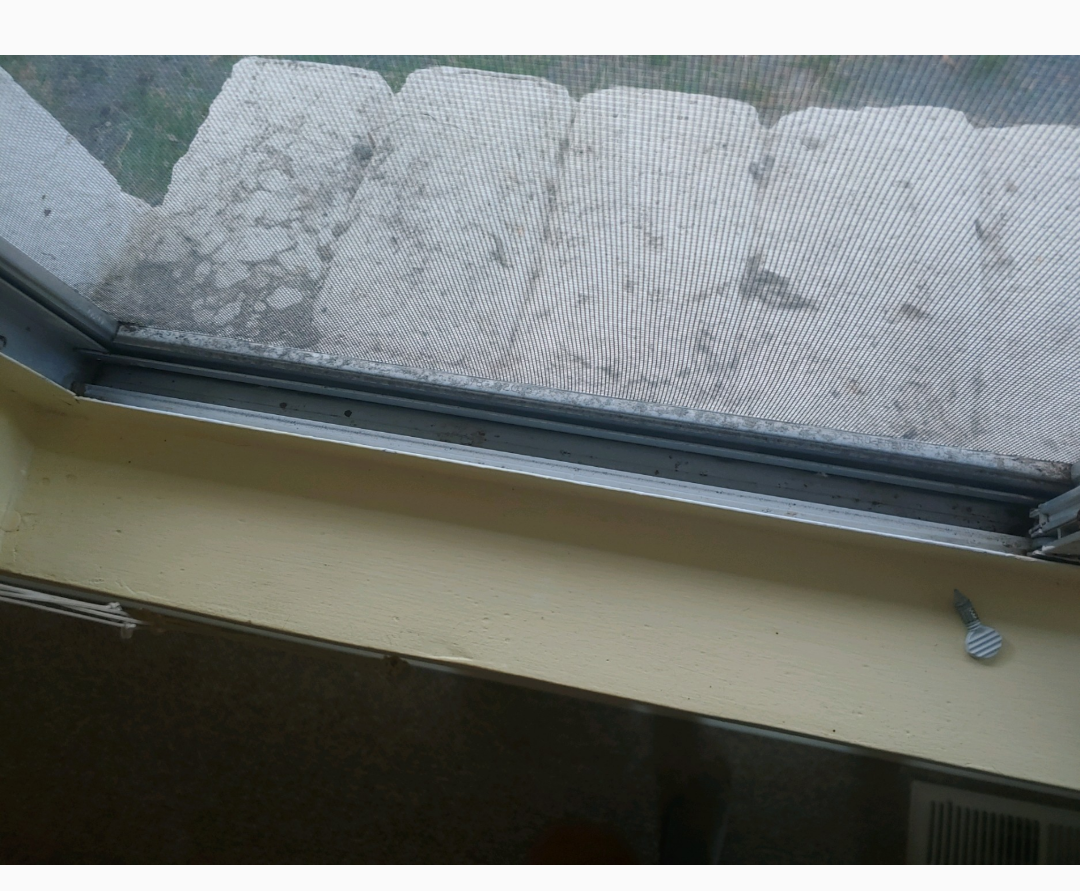 Mickey's Cleaning Service's Photo