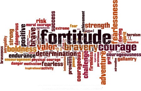 Fortitude Cleaning's Photo